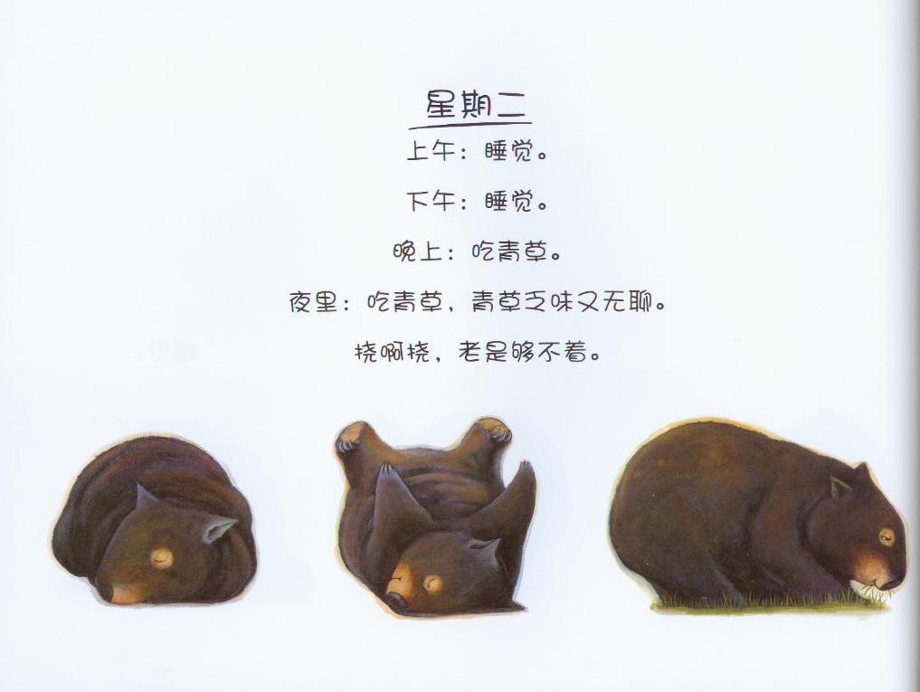 袋熊日记 (04),绘本,绘本故事,绘本阅读,故事书,童书,图画书,课外阅读